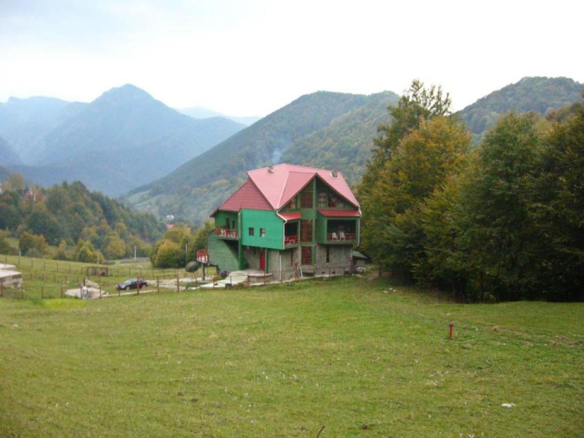 Barlogul Ursilor Lepsa Hotel Exterior photo